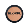OIL ABSORBING PRESSED POWDER